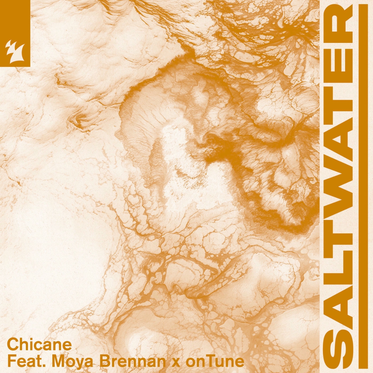 Chicane Ft. Moya Brennan & Ontune - Saltwater (Extended Mix)